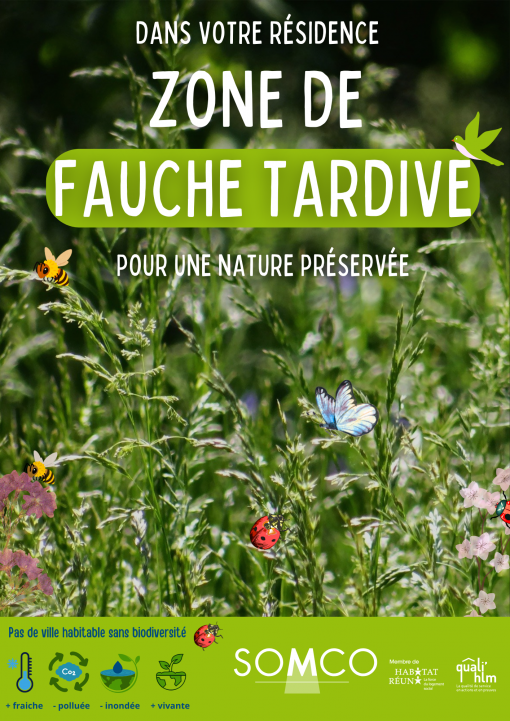 Fauche tardive - SOMCO