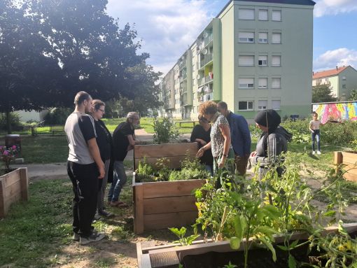 jardins partagés