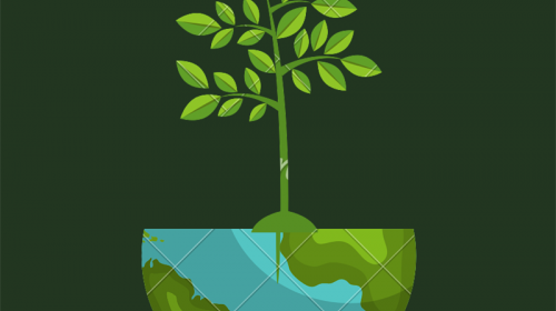 Pour ses 170 ans en 2023, la SOMCO va planter 170 arbres